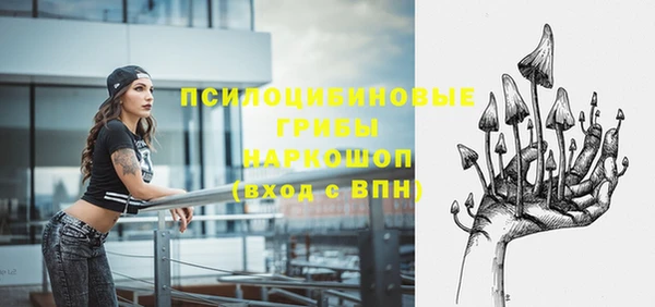 не бодяженный Аркадак