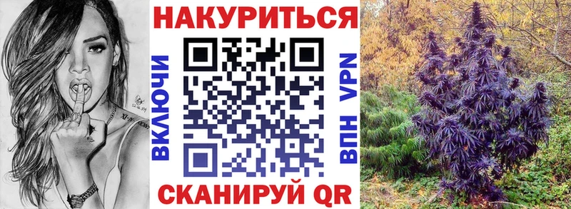продажа наркотиков  OMG ONION  МАРИХУАНА SATIVA & INDICA  Новороссийск 